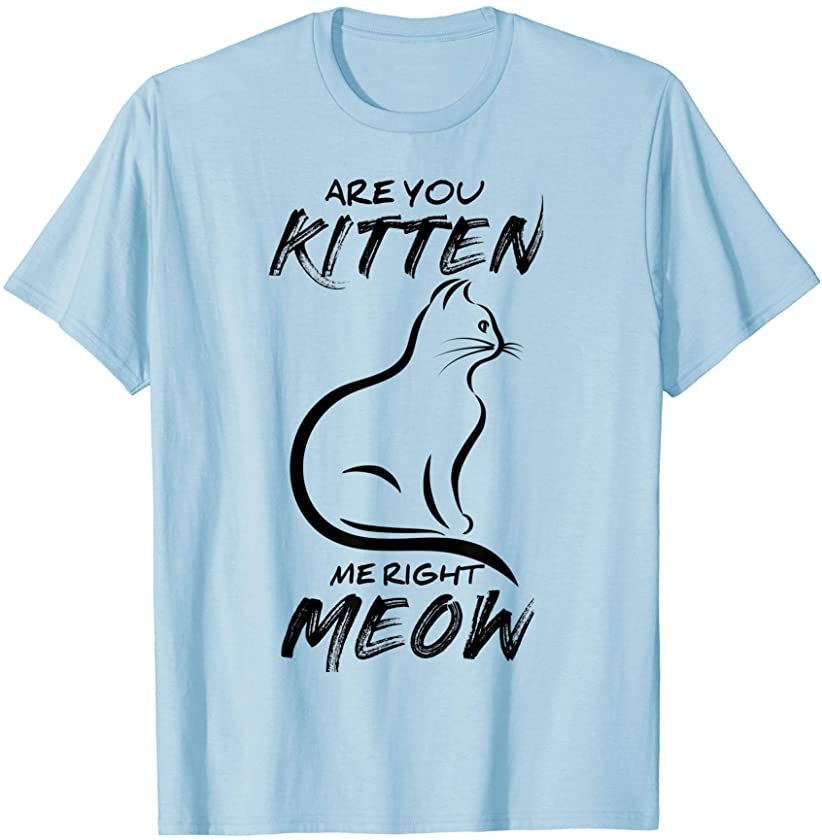 Are You Kitten Me Right Meow, Kidding Now Funny Cat Gifts T-Shirt