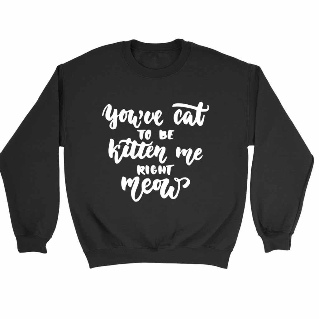 Are You Kitten Me Right Meow Cool Cute Sweatshirt Sweater