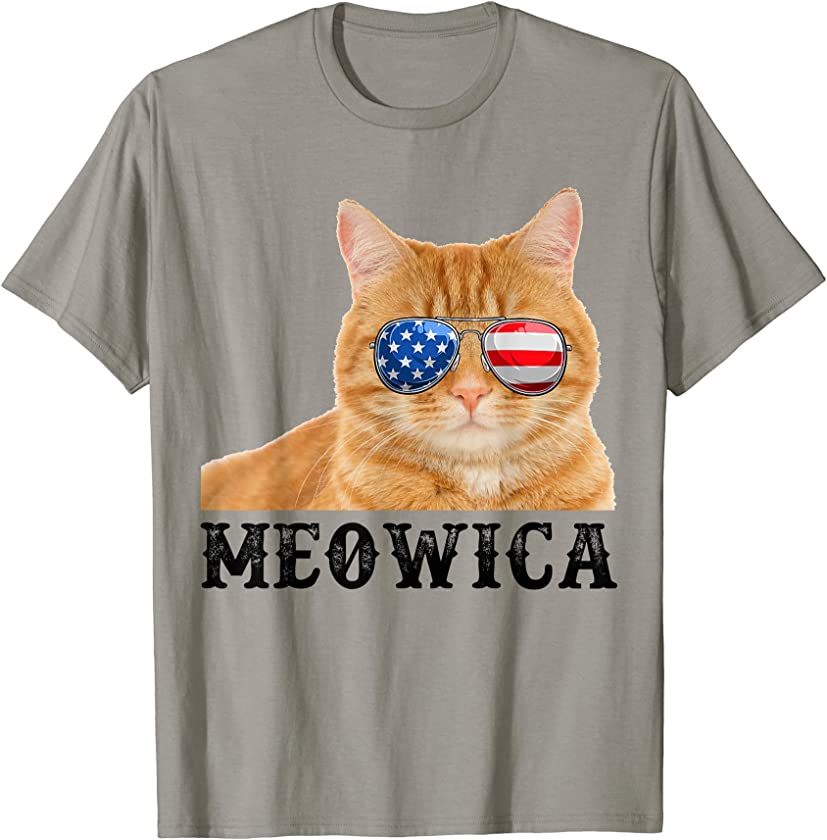 Cat 4th of July Kitten USA American Flag T-Shirt