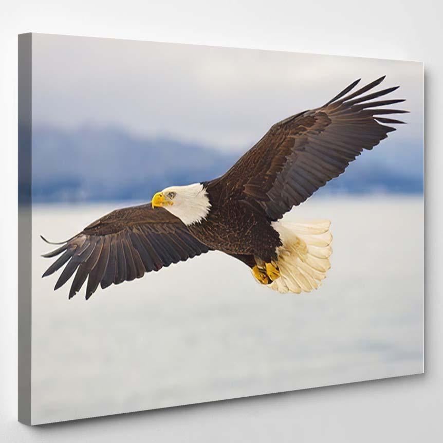 American Bald Eagle Soaring Over Spit – Eagle Animals Canvas Print