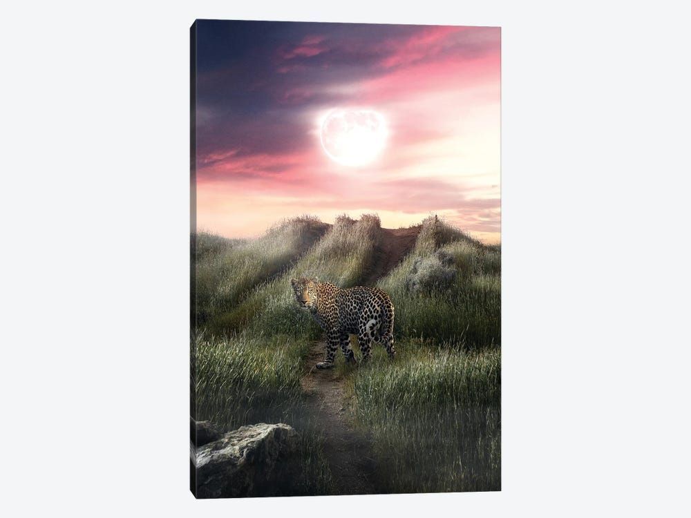 The Leopard And The Moon Canvas Poster 8″x12″ 12×18″ 18″x26″ 24″x36″ 30″x45″