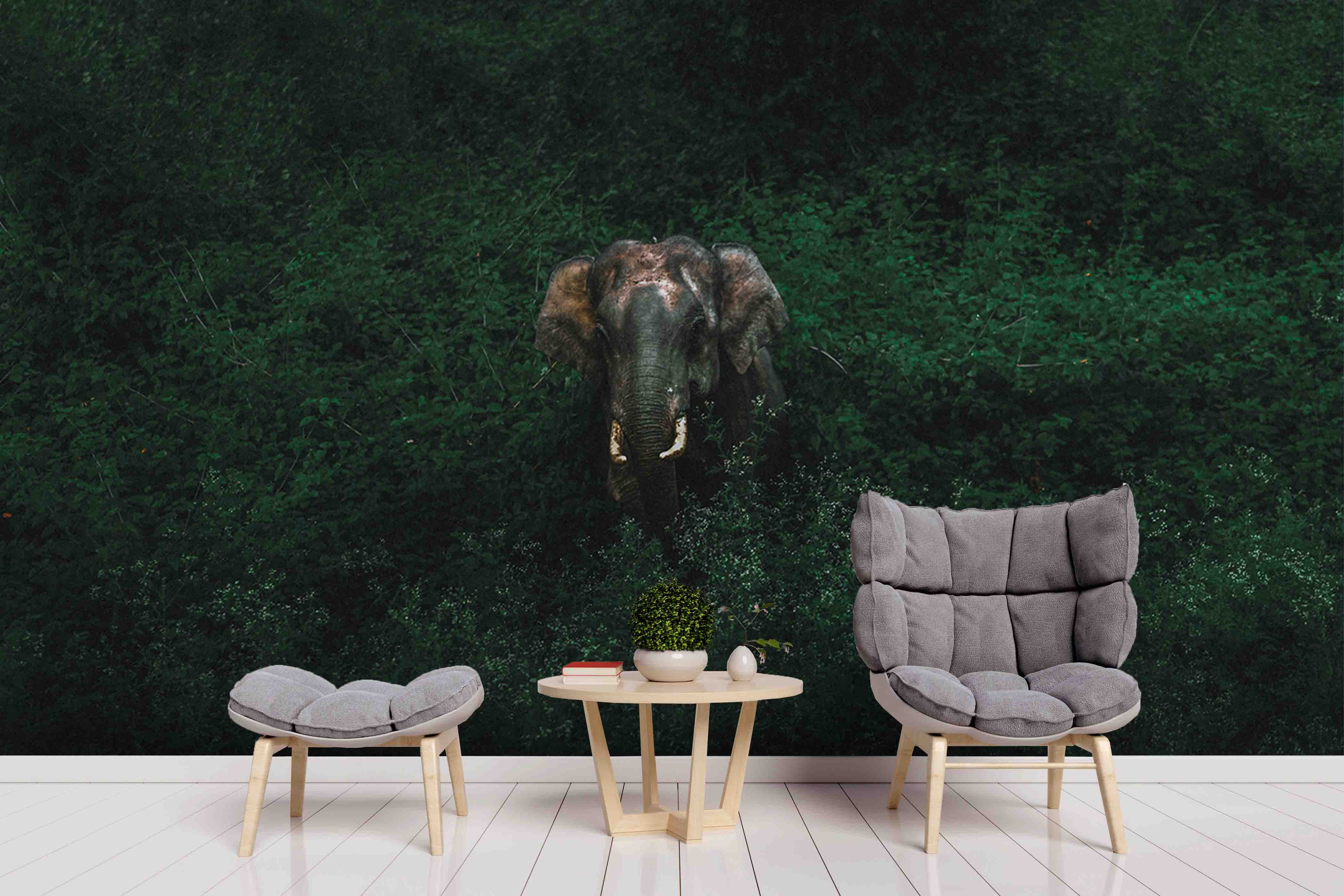 3D Green Animal Elephant Wall Mural Wallpaper Sf04