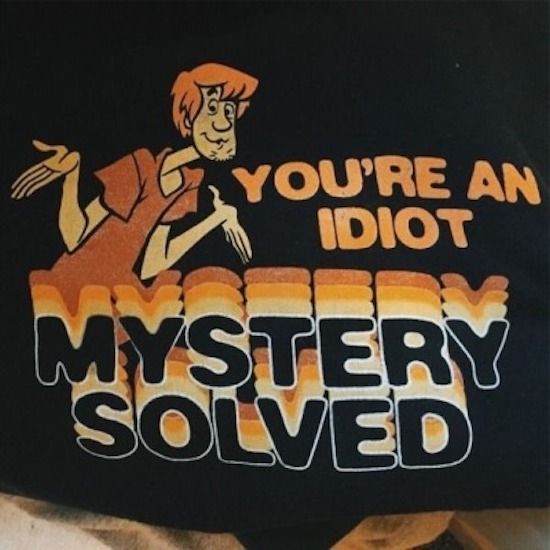 You  Re An Idiot  Mystery Solved Scooby Doo T Shirt