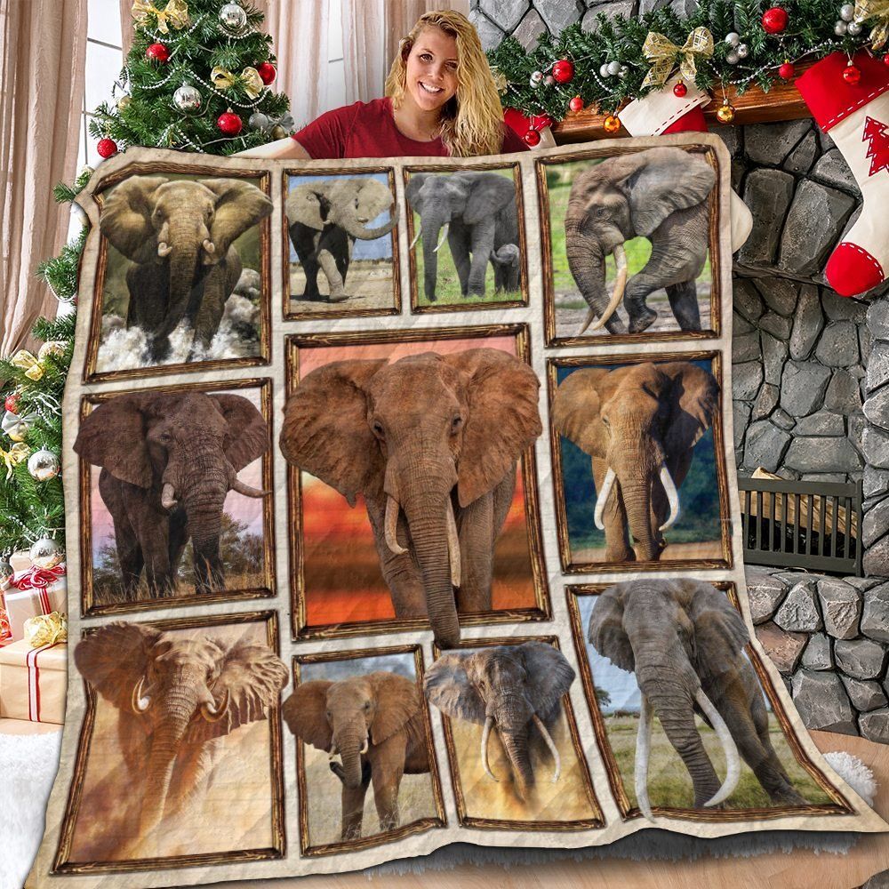 Animal  Elephants Have Long White Tusks  Quilt Blanket