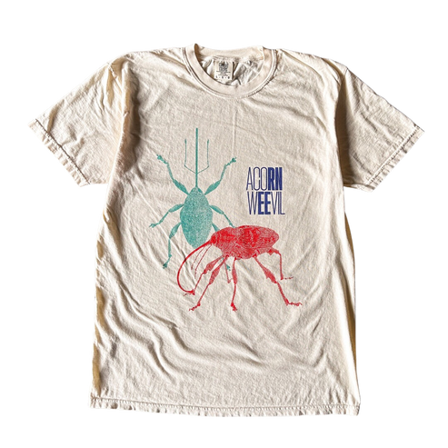 Colorful Acorn Weevil Tee Shirt Outfit