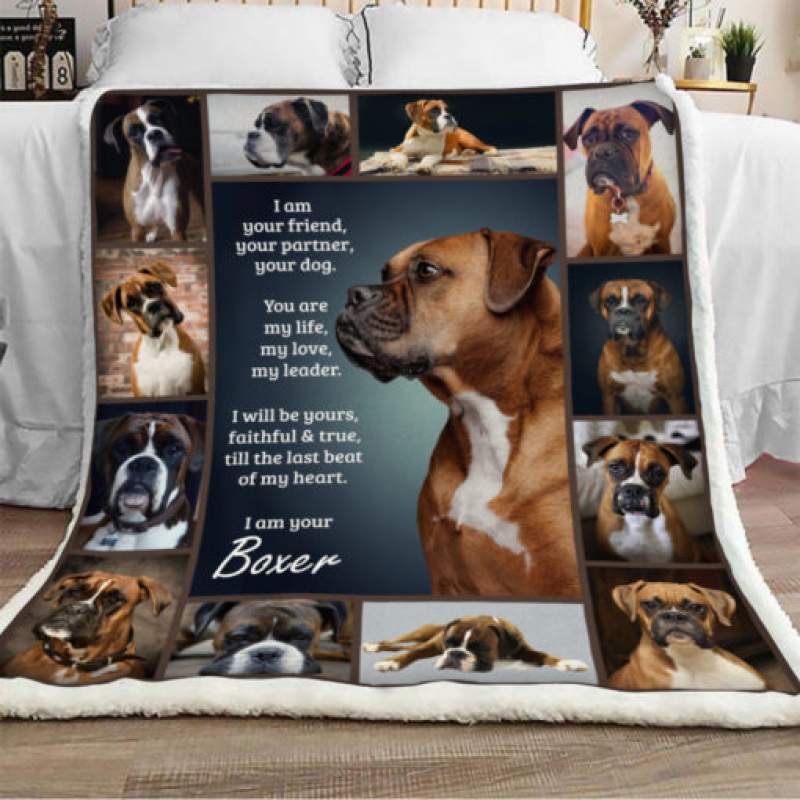 Boxer Dog Sherpa Blanket JR2003 90O35