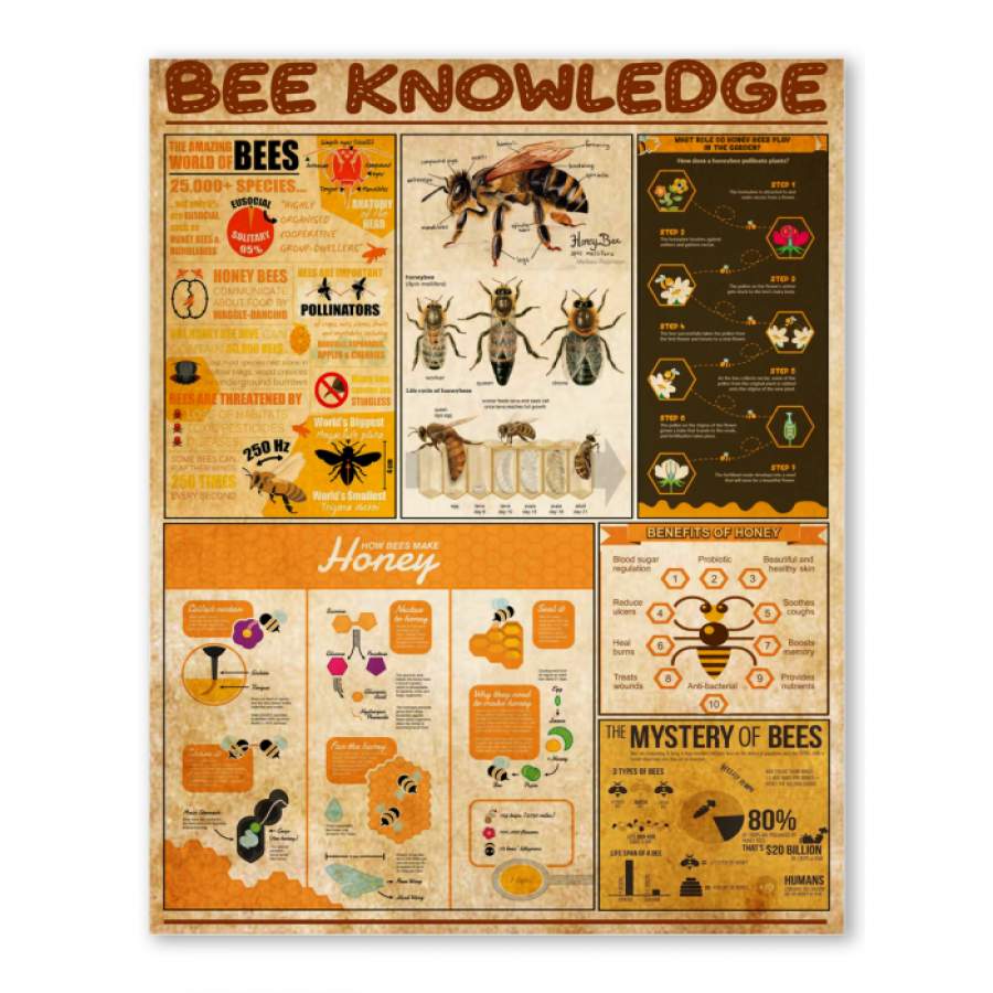 Bee Knowledge Mystery Of Bee Unique Custom Design Canvas Present