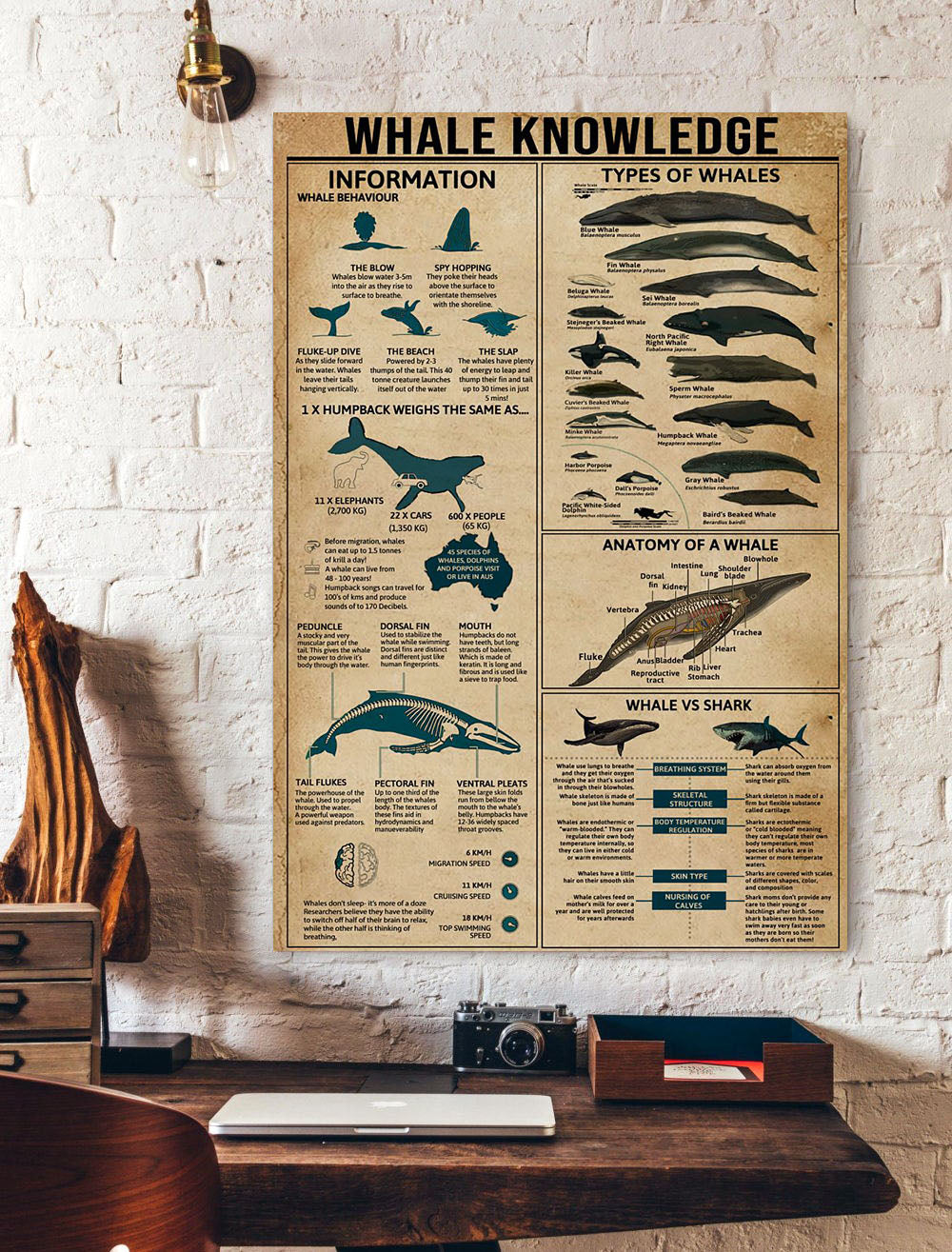 Whale Knowledge Vertical Poster