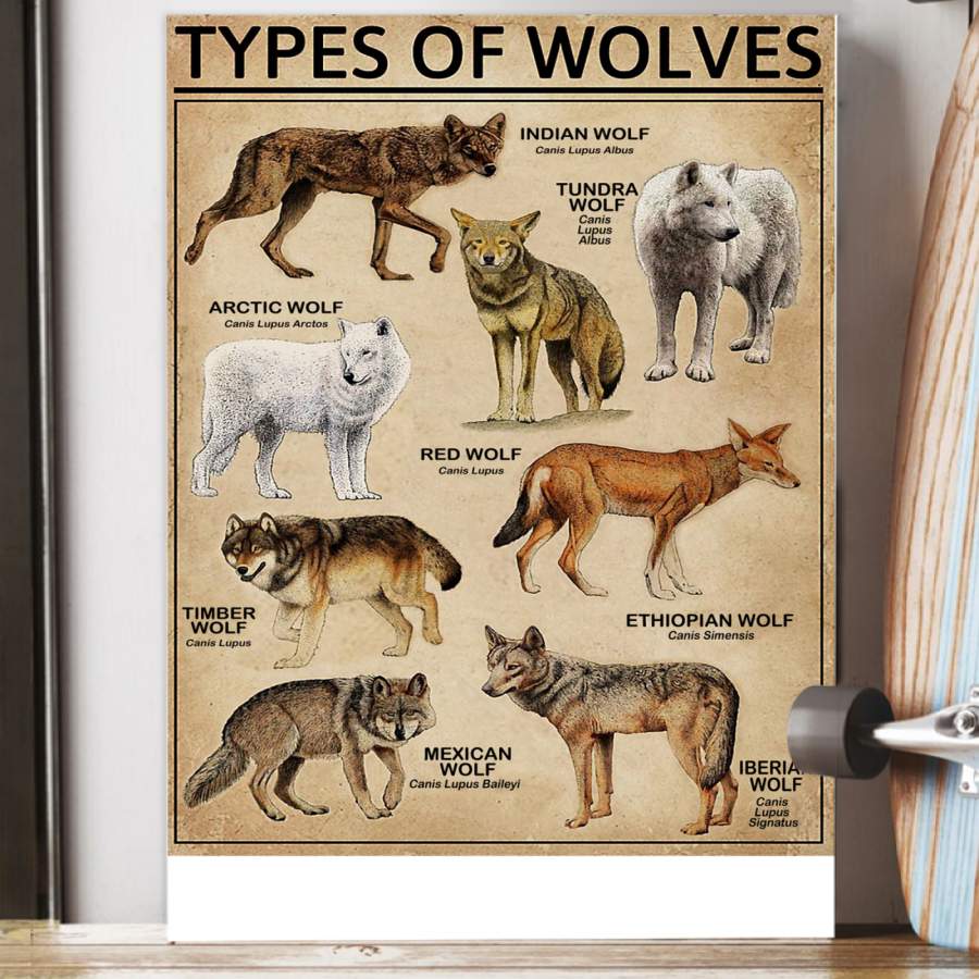 Types Of Wolves  Special Unique Custom Design Canvas Gift For Animal Lovers