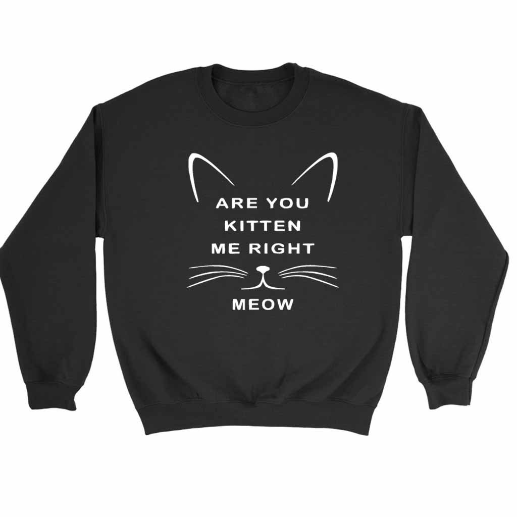 Are You Kitten Me Right Meow Graphic Sweatshirt Sweater