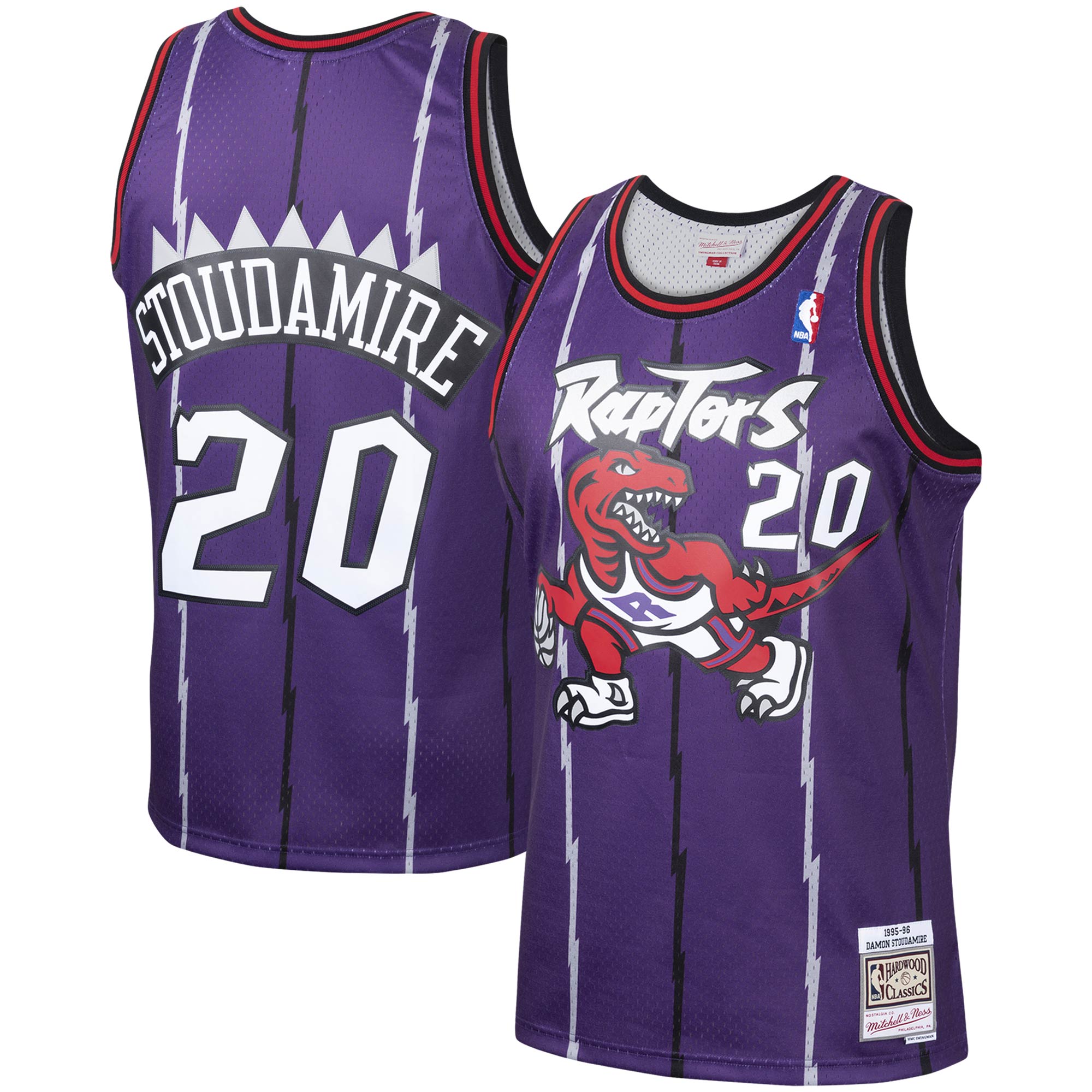 Men's Mitchell & Ness Damon Stoudamire Purple Toronto Raptors 1995-96 Hardwood Classics Swingman Player Jersey