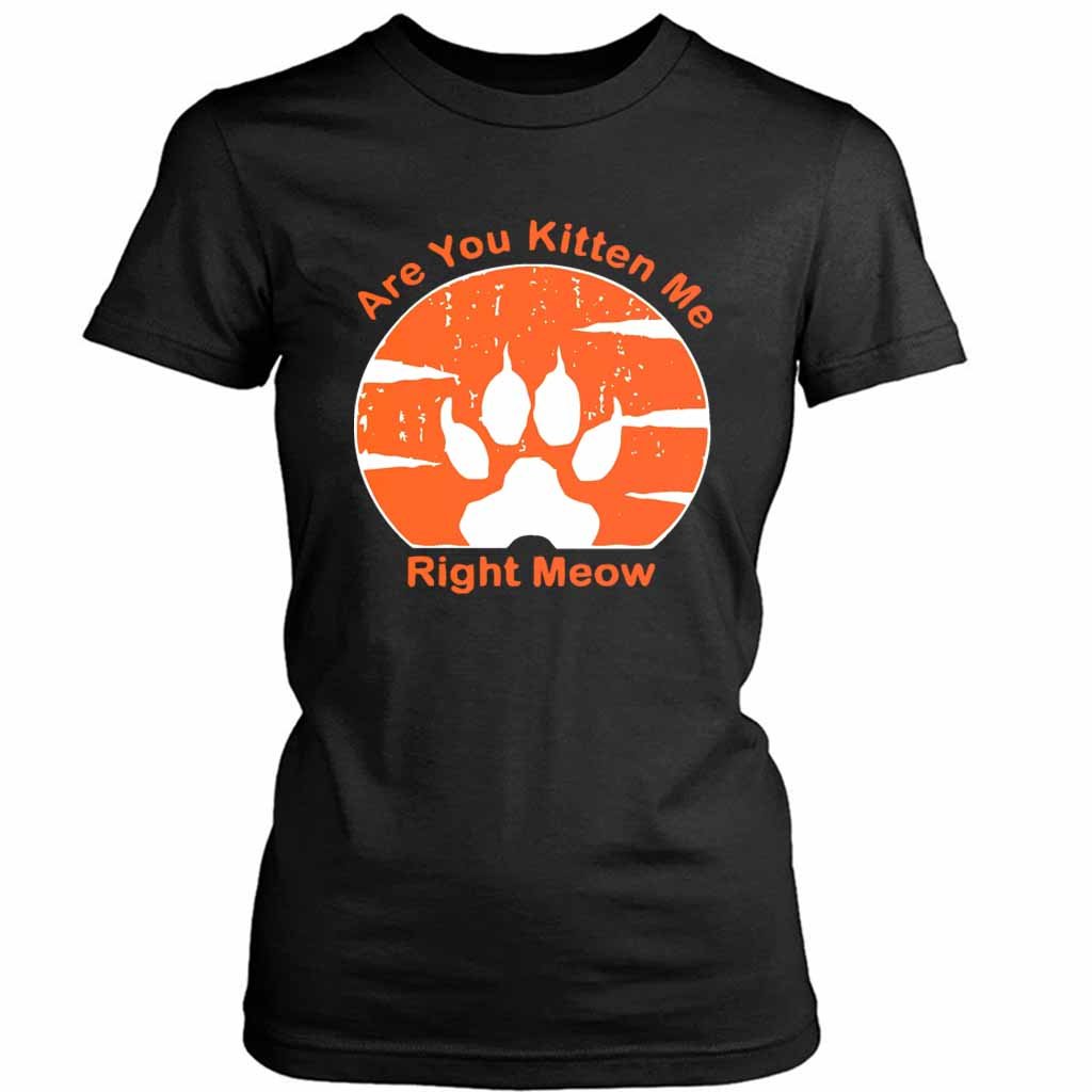 Are You Kitten Me Right Meow Vintage Women’s Tee T-Shirt