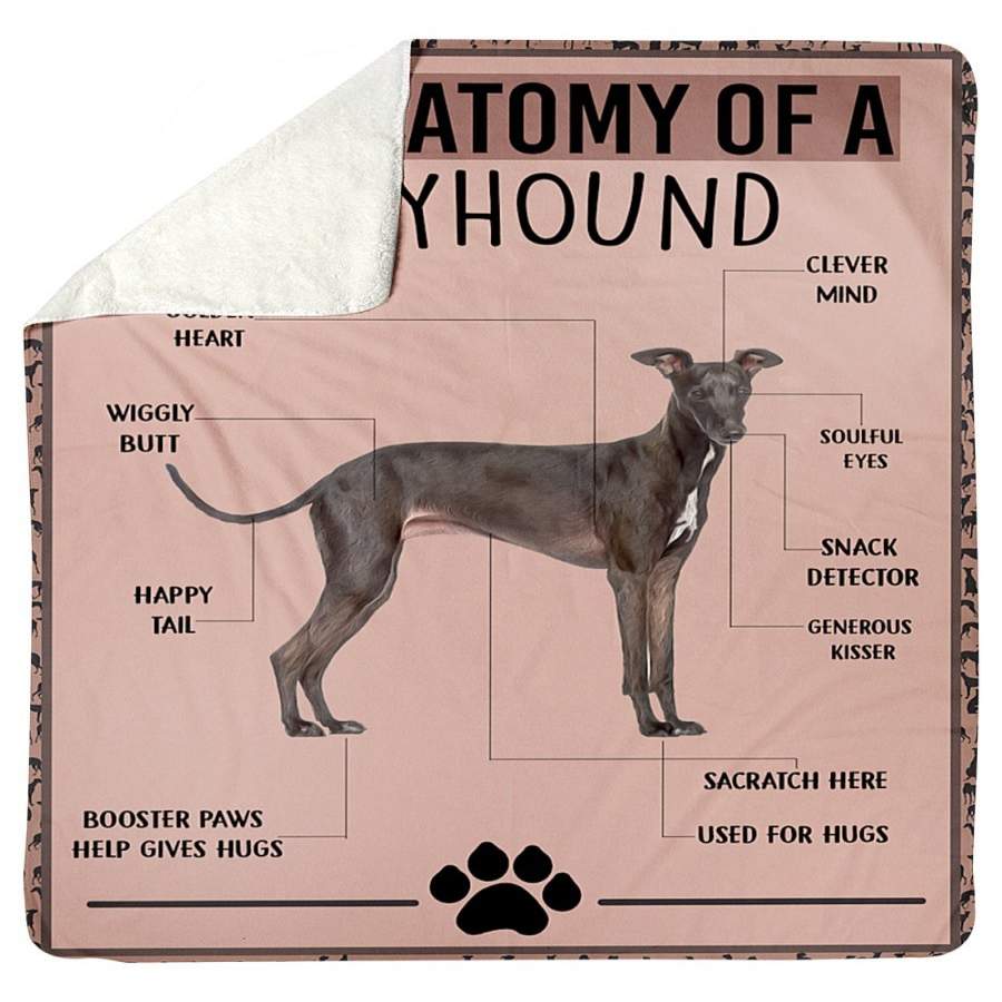 Anatomy Greyhound Gifts For Dog Lovers Sherpa Blanket