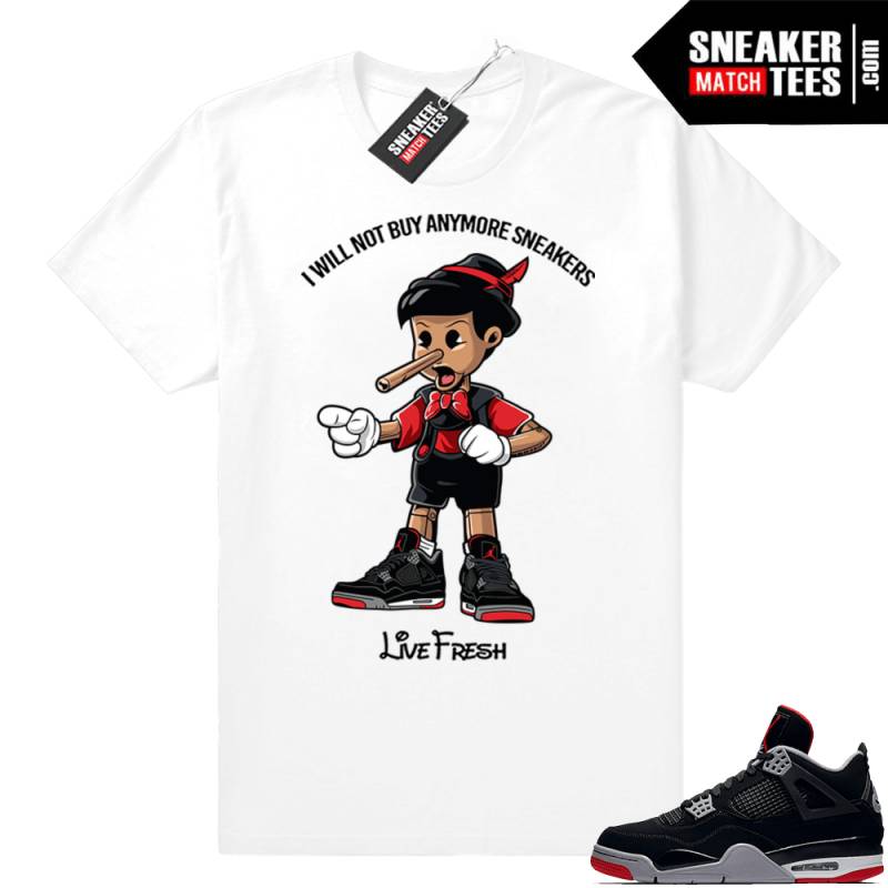 jordan 4 clothing