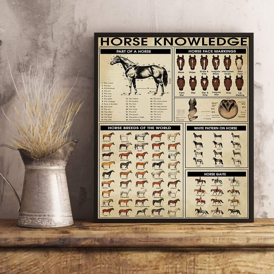 ANTN2912 – Horse – Knowledge – Poster