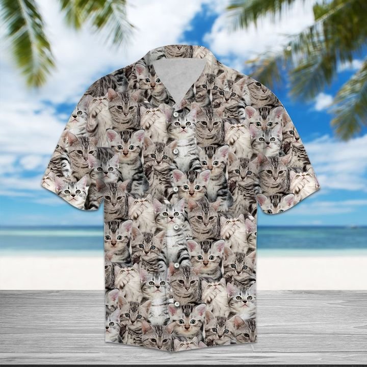 American Shorthair Hawaiian Shirt Summer Button Up For Men, Women, Couple