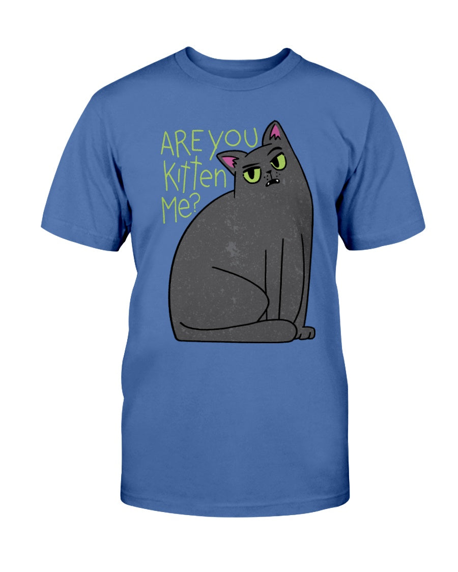 Are You Kitten Me? Shirts And Coffee Mugs