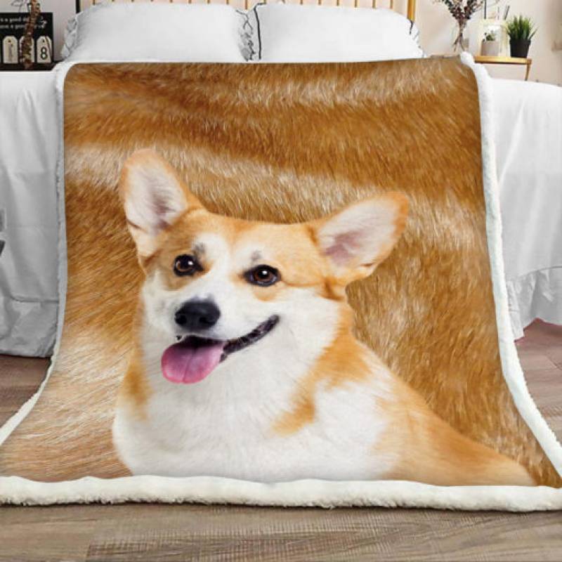 Corgi Dog Sherpa Blanket JR1001 70O51