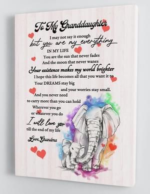 To My Granddaughter You Are My Everything Elephant Poster