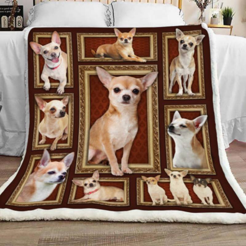 Chihuahua Dog Sherpa Blanket DCB2601 90O41