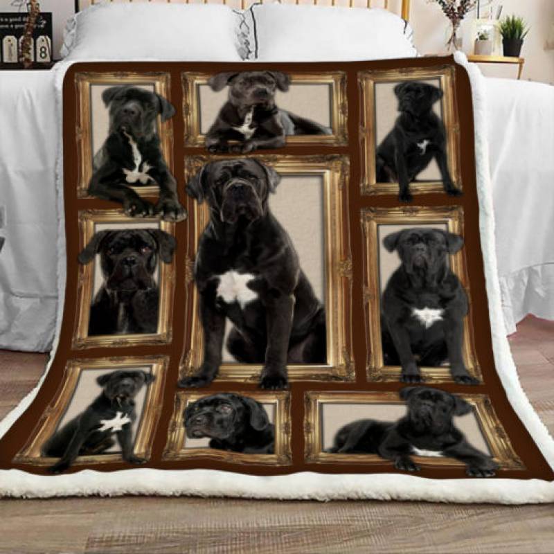 Cane Corso Dog Sherpa Blanket JR1001 67O56