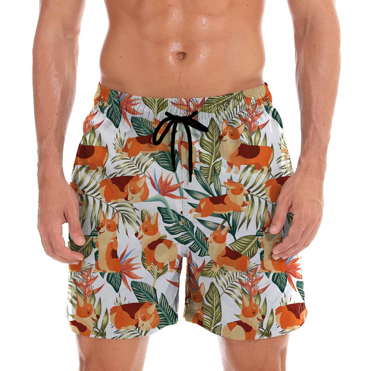 Welsh Corgi Hawaii Shorts Ha4876