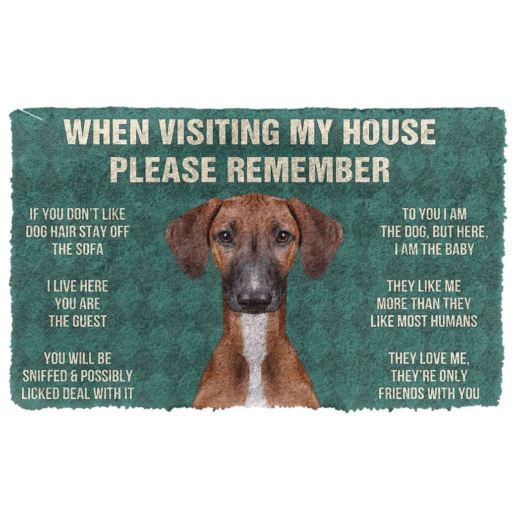 Gearhumans 3D Please Remember Azawakh Dogs House Rules Custom Doormat