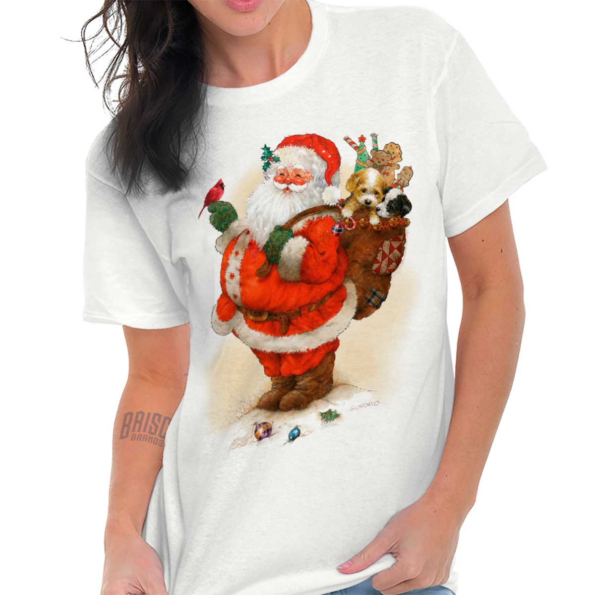 Santa Bird T-Shirt Tee