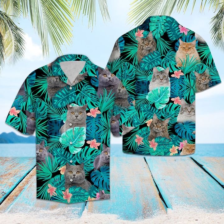 Tropical British Shorthair Hawaiian Shirt Summer Button Up For Men, Women, Couple