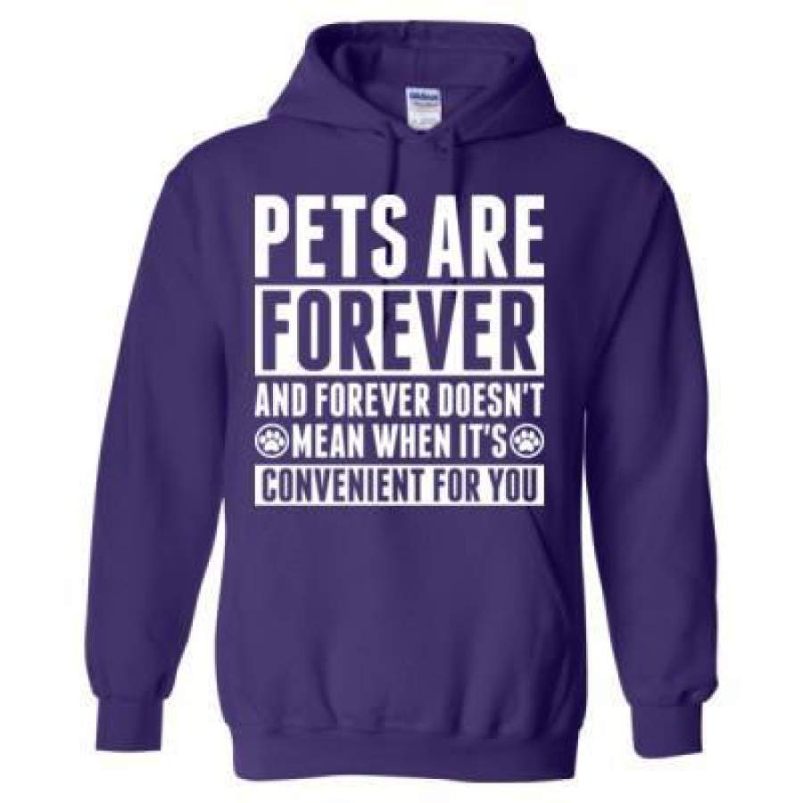 AGR Pets Are Forever And Doesnt Mean When Its Convenient For You – Heavy Blend™ Hooded Sweatshirt