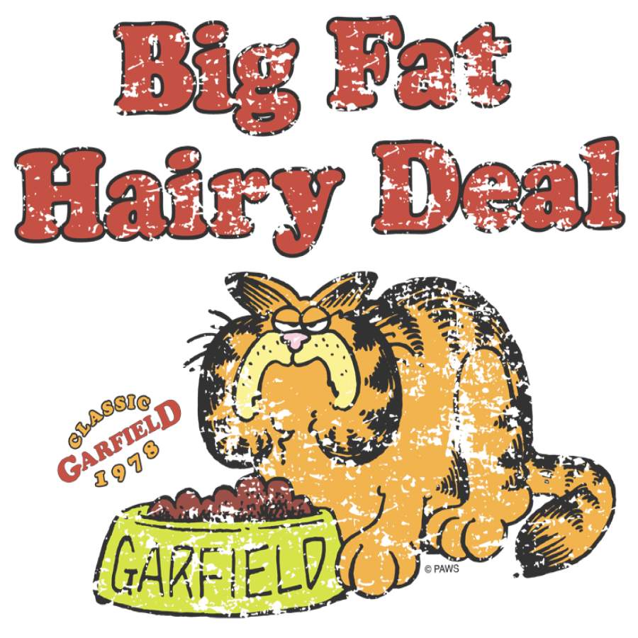 Garfield Big Fat Hairy Deal Youth T Shirt Ages 8 12 Emprintstop