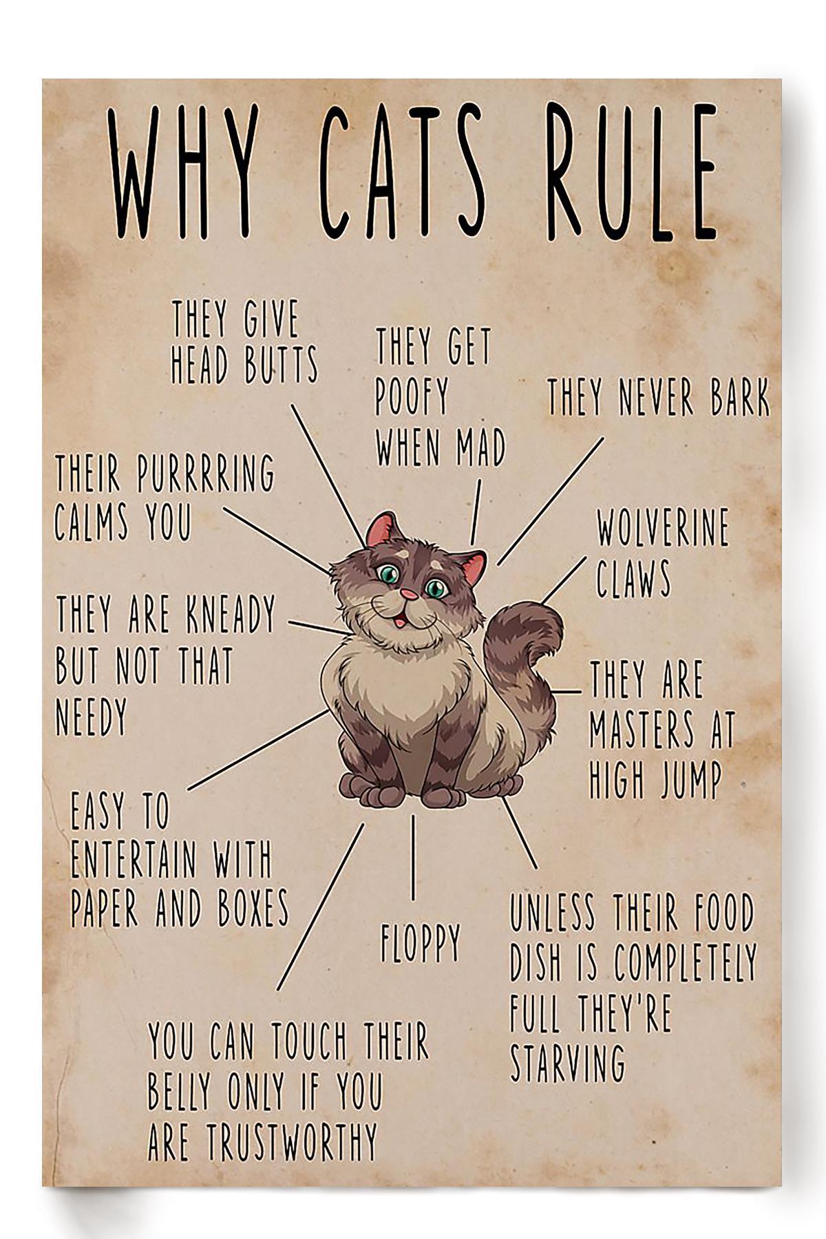 Cats Rule Animal Wall Art Gift For Cat Lover International Cat Day Kitten Foster Poster