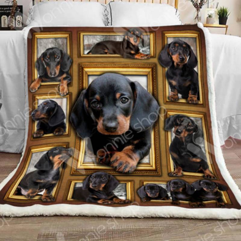 Dachshund Dog Sherpa Blanket DCB1602 85O34