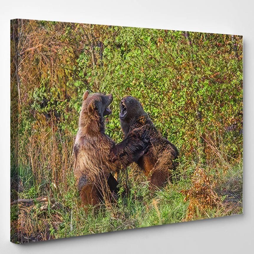 Two Brown Bears Battle – Bear Animals Canvas Print