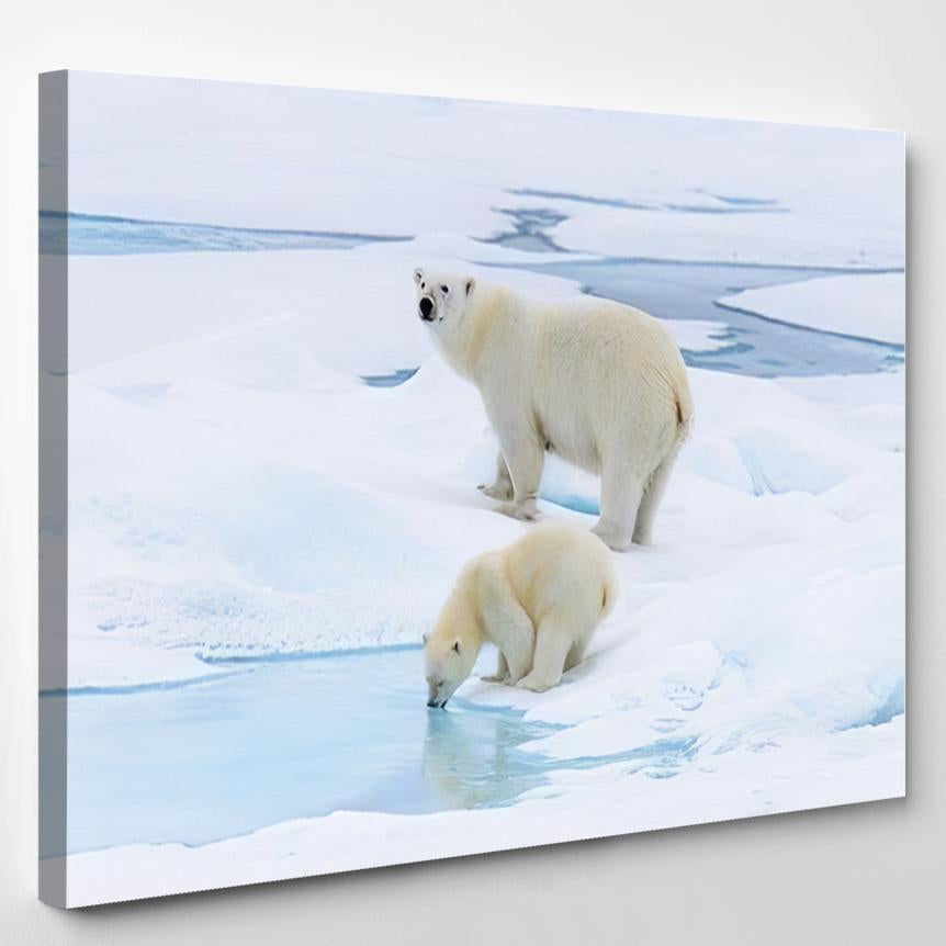 Polar Bear Ursus Maritimus Mother Cub 2 – Bear Animals Canvas Print