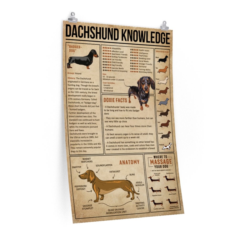 Dachshund KnowledgePremium Matte vertical Matte Canvass