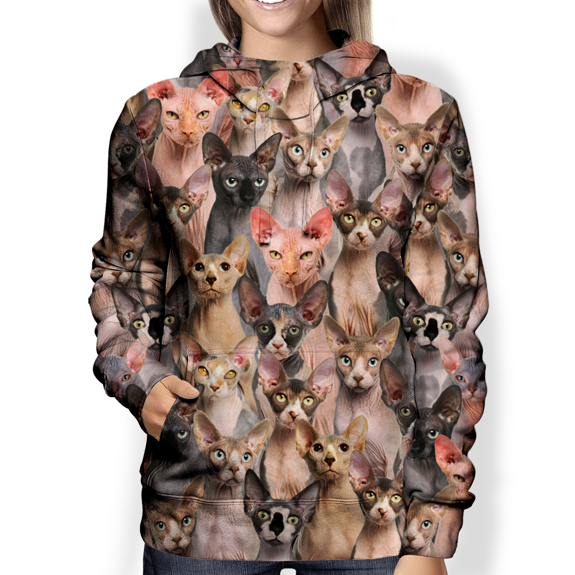 You Will Have A Bunch Of Sphynx Cats – Hoodie V1