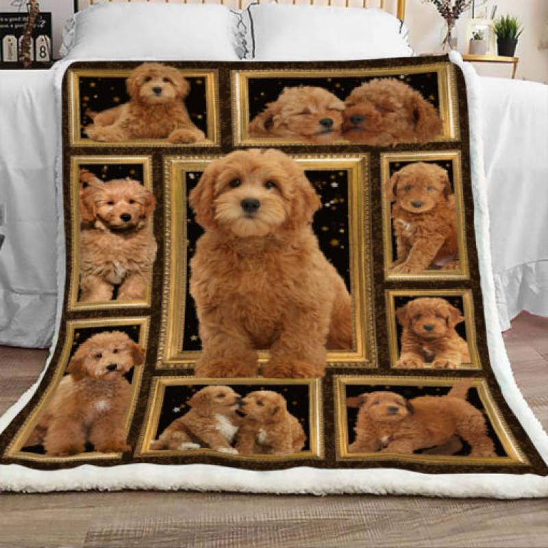 Goldendoodle Sherpa Blanket DCB3101 82O33