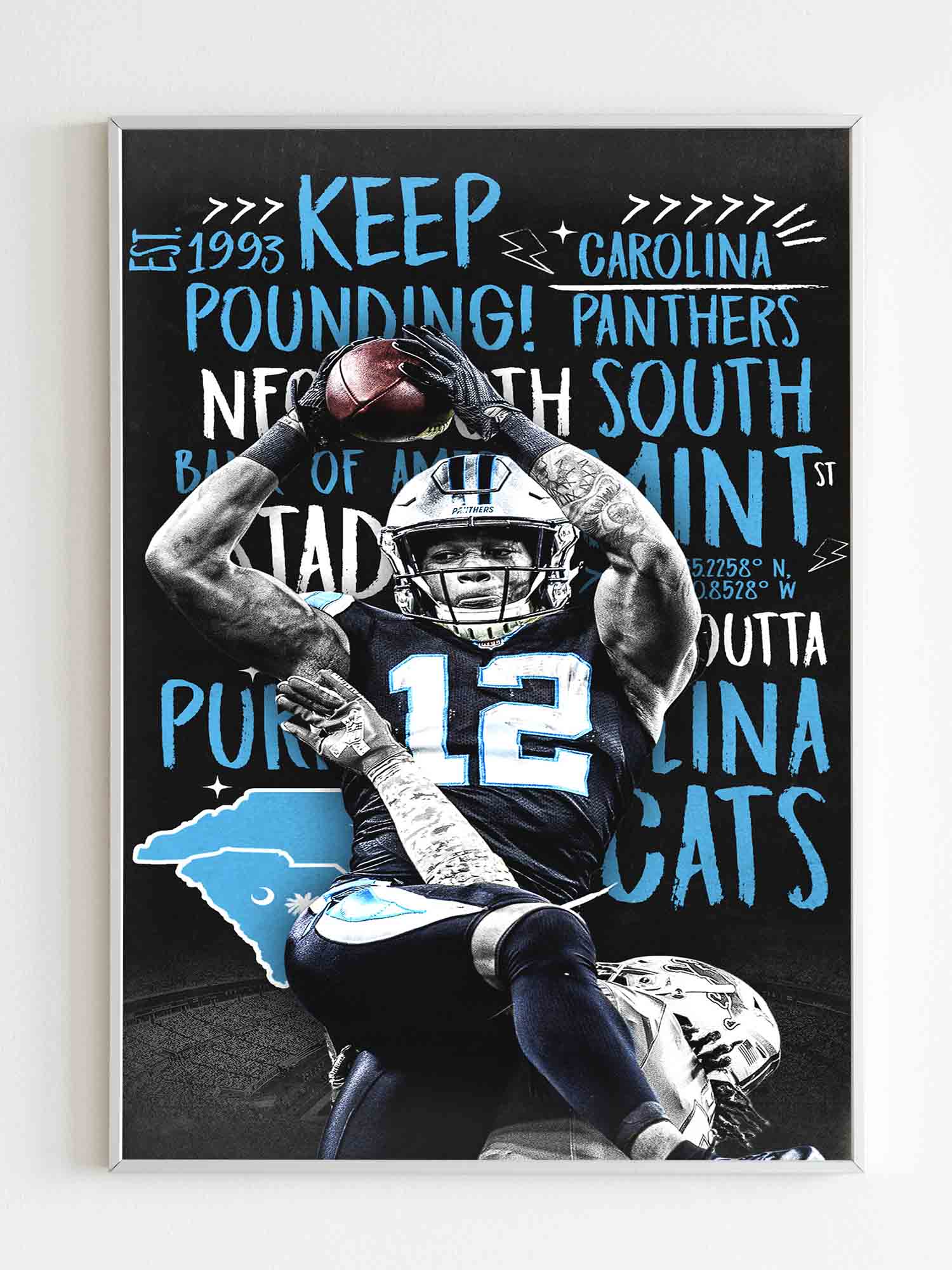 Carolina Panthers Keep Pounding Poster