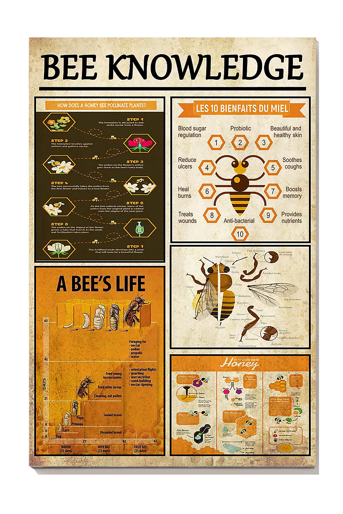 Bee Knowledge Wall Art For Beekeeper Farmhouse Decor Wrapped Canvas