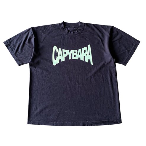 Capybara Text v1 Tee Shirt Outfit