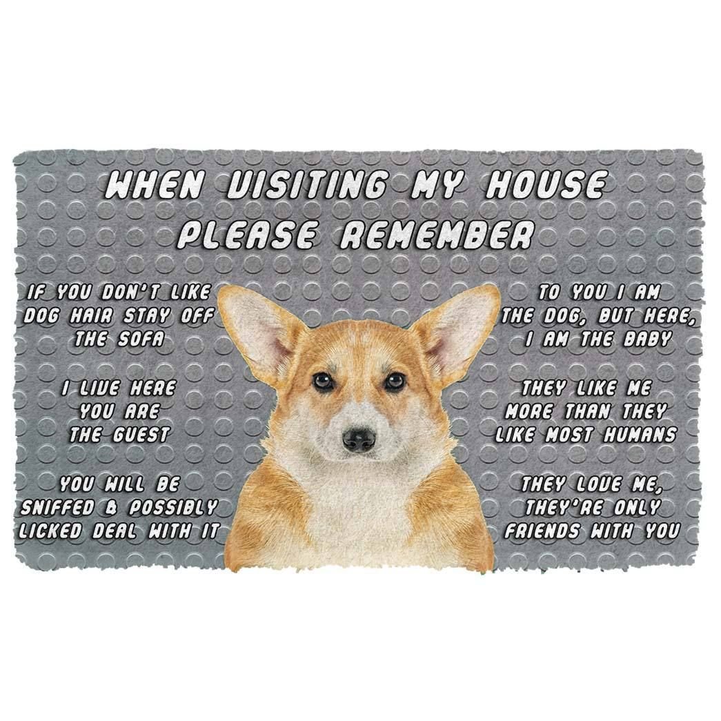 Alohazing 3D Please Remember Pembroke Welsh Corgi Dogs House Rules Doormat