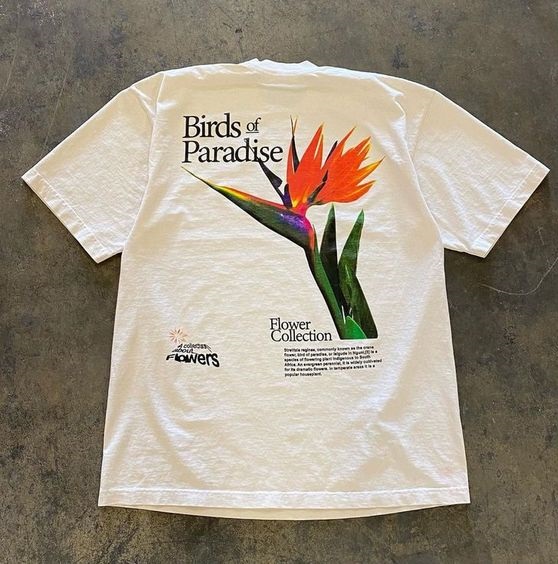 Birds Of Paradise Flower Collection Tee Shirt Outfit