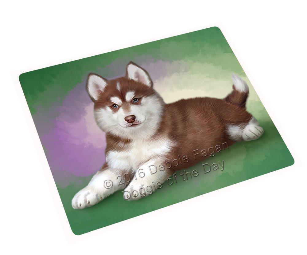 Siberian Husky Puppy Blanket Blnkt49062