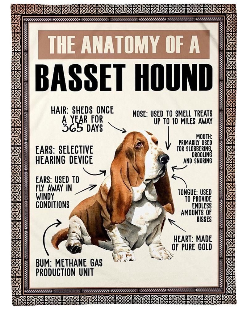 [Personalized Name] Basset Hound Anatomy Fleece Blanket, Sherpa Blanket, Gift For Wife Gift For Parent, Family Member, Friends Gift, Christmas Gift, Home Decor, Home Living