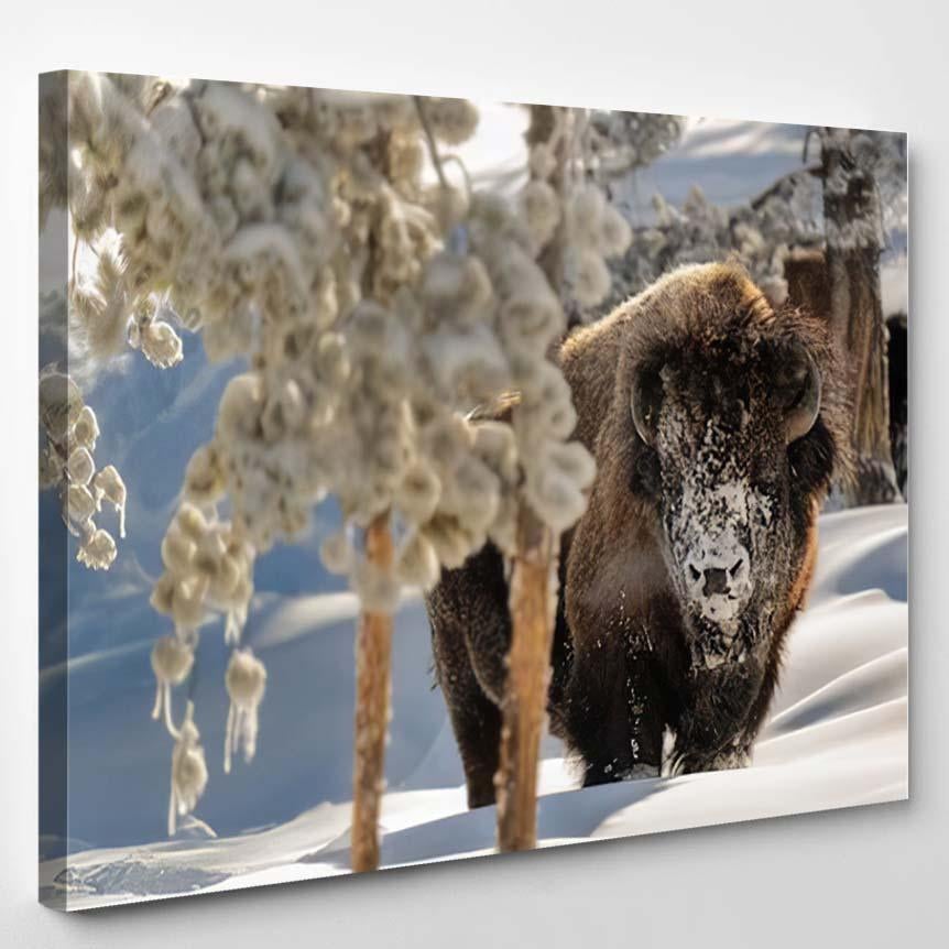 View American Bison During Winter – Bison Animals Canvas Print