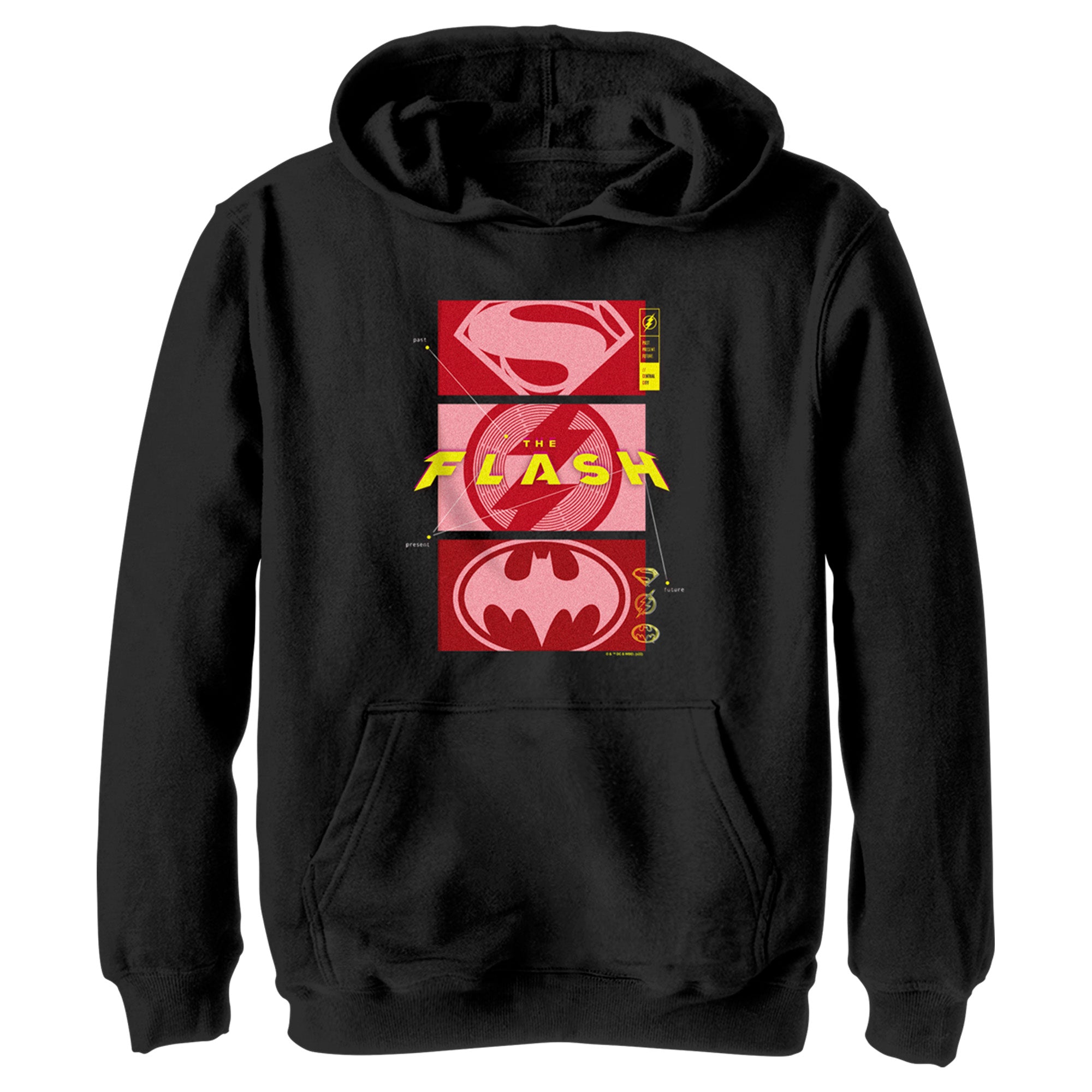 Boy’S The Flash Justice Heroes Logo Pull Over Hoodie