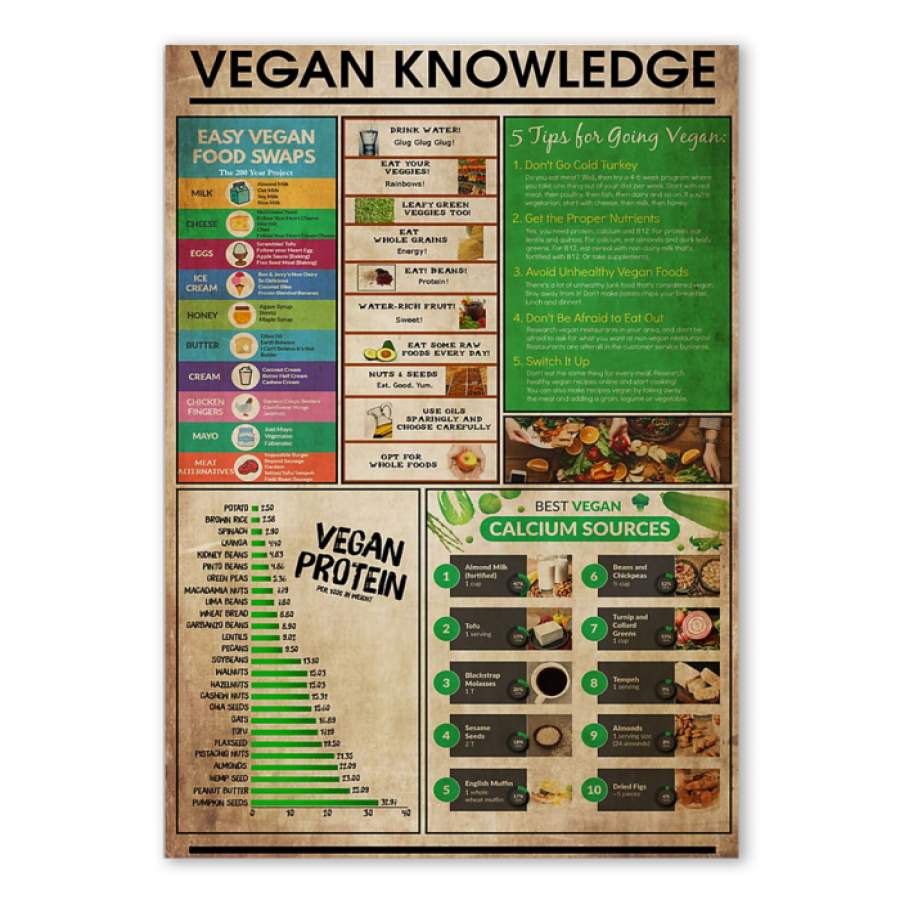 Vegan Protein Knowledge  Special Unique Custom Design Canvas Gift