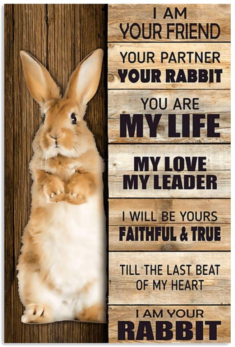 Vintage Rabbit – I Am Your Friend My Love My Leader I Am Your Rabbit Poster Art Print      Home Decor Gift For Men Women Family Friend On Birthday Xmas