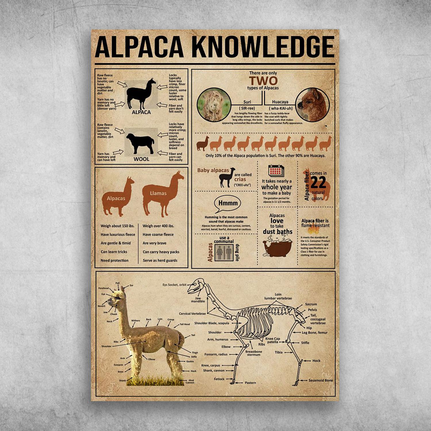 Alpaca Knowledge There Are Only Two Types Of Alpacas Poster Print, Canvas Print, Canvas Wall Art, Canvas And Poster Wall Decor